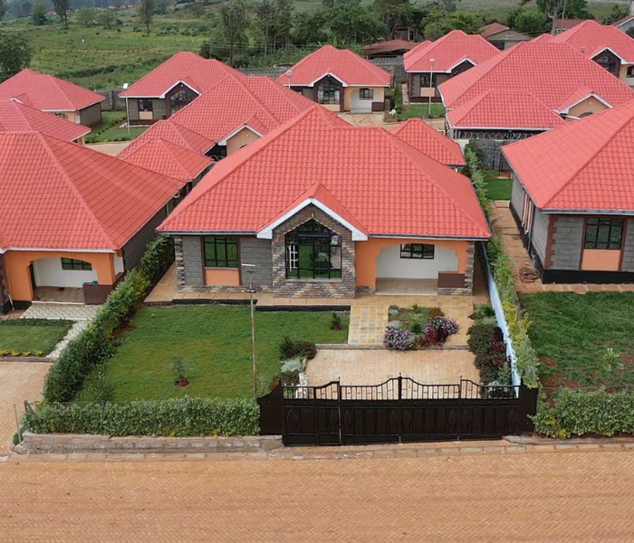 Willstone Homes - Kenyatta Road - Tabby 25 (4)